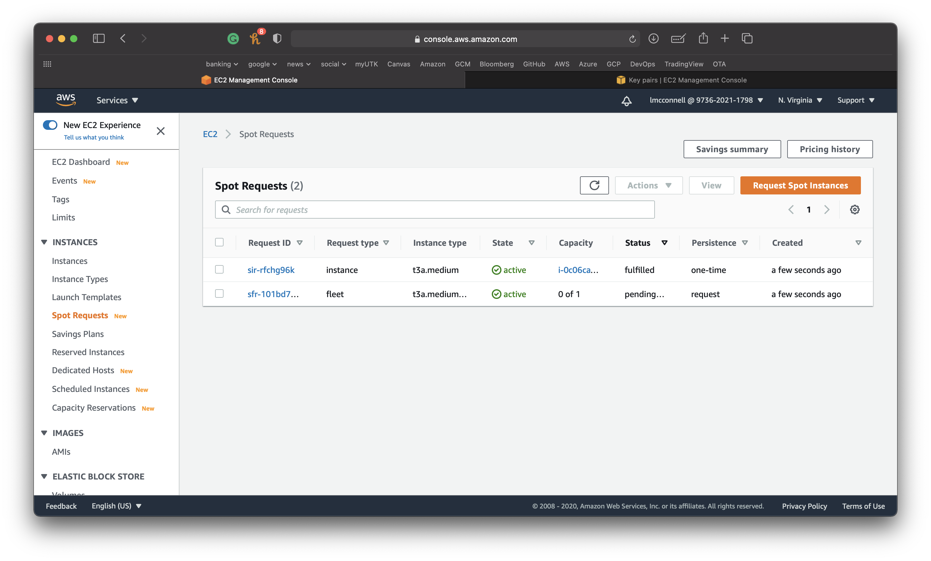 /img/aws-in-10-minutes/ActiveSpotRequest.png